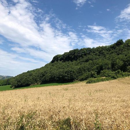 Agriturismo L'Esinante Cupramontana 外观 照片