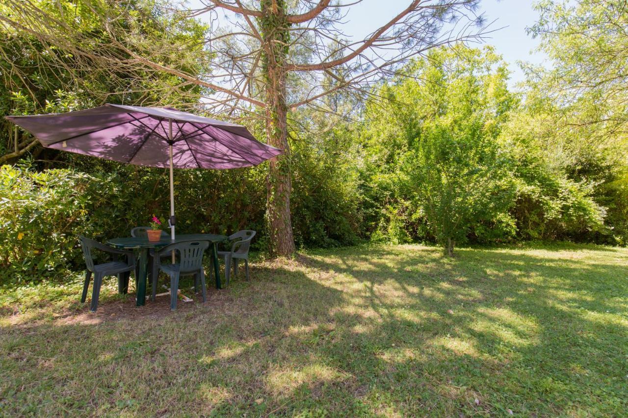 Agriturismo L'Esinante Cupramontana 外观 照片