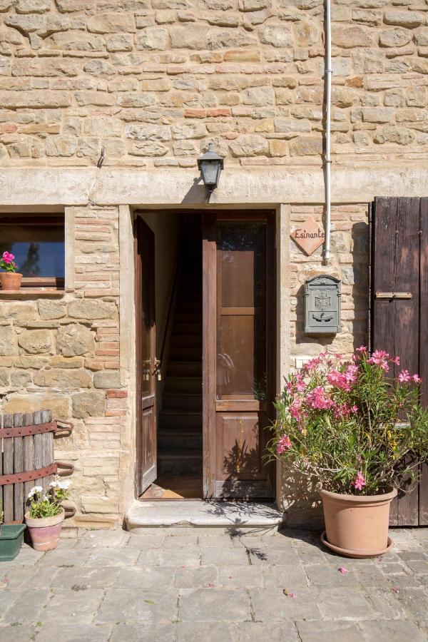 Agriturismo L'Esinante Cupramontana 外观 照片